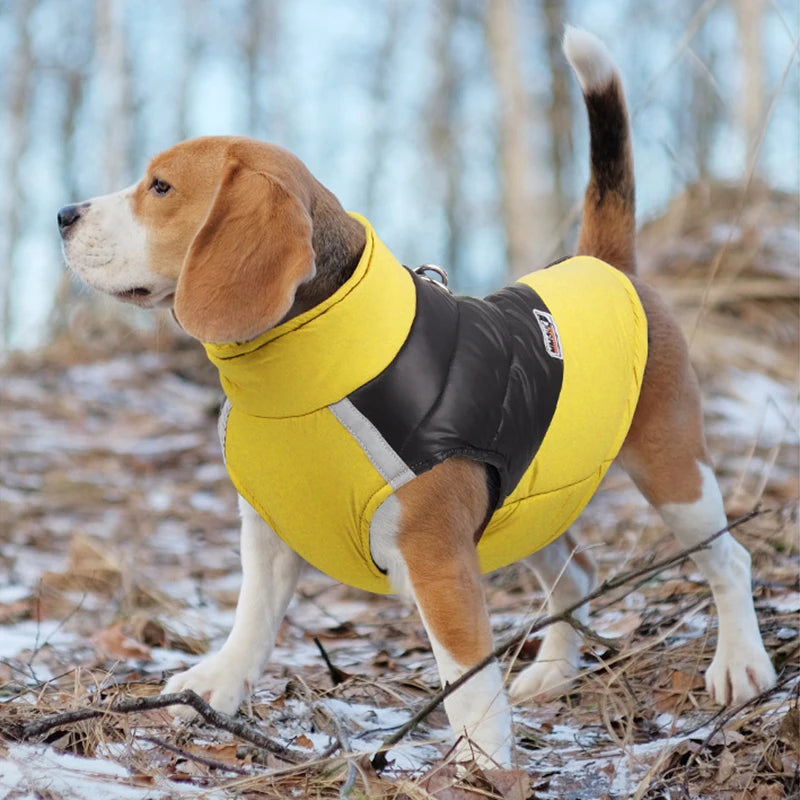 Incredibly Comfortable Dog Jacket With Harness