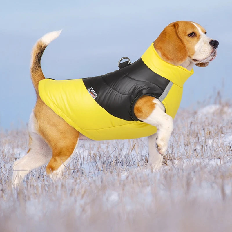 Incredibly Comfortable Dog Jacket With Harness